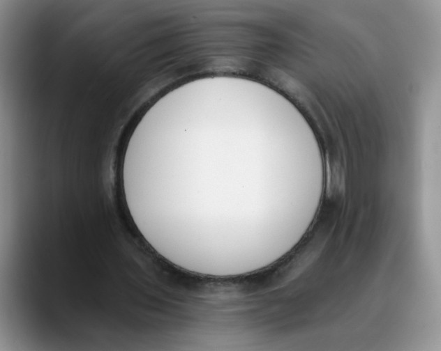 X0000089830435200707191829