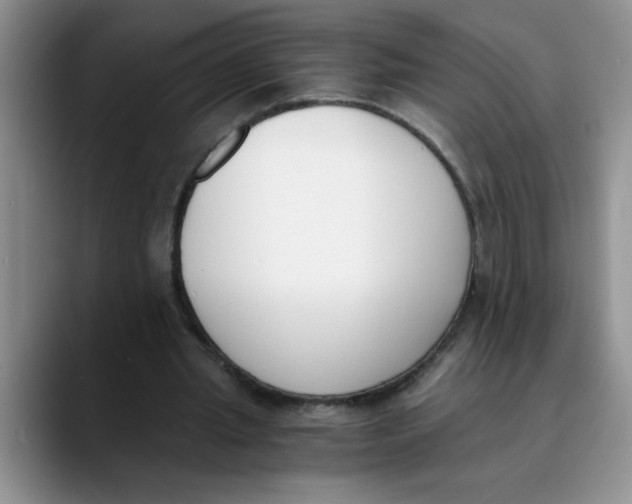 X0000089830437200707191829