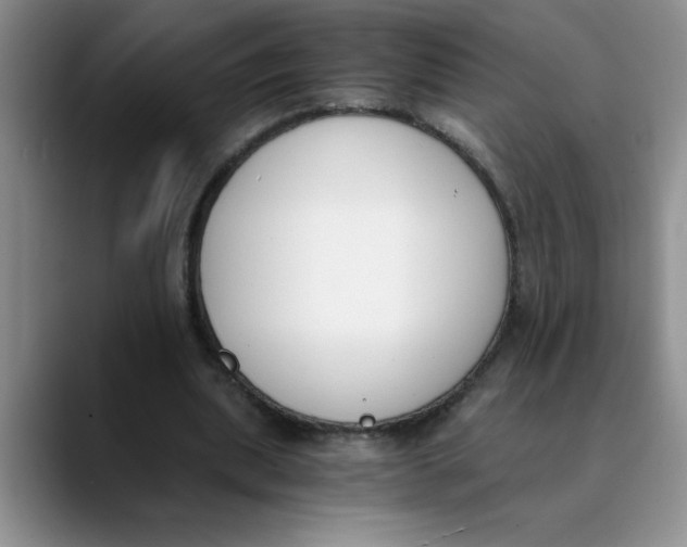 X0000089830439200707191829