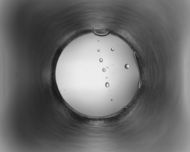 X0000089830440200707191829