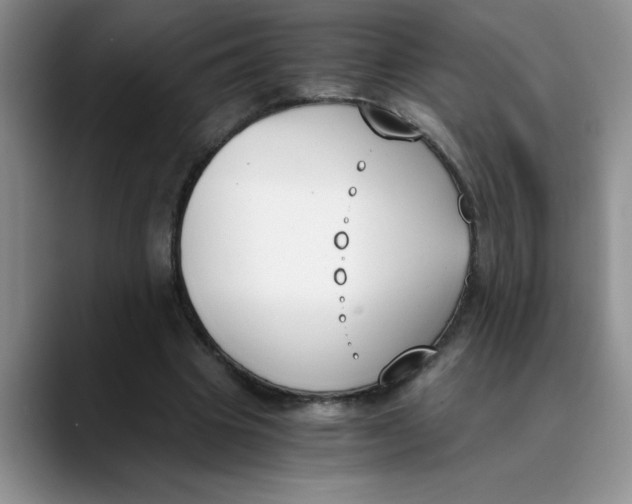 X0000089830441200707191829