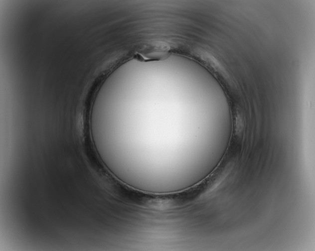 X0000089830444200707191829