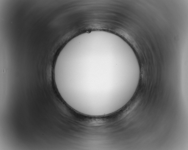 X0000089830445200707191829