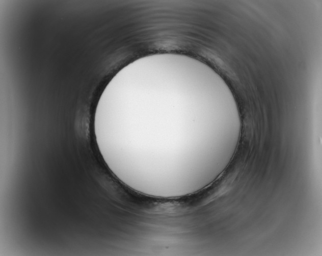 X0000089830446200707191829