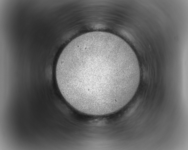 X0000089830447200707191829