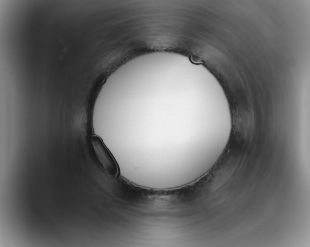 X0000089830448200707191829