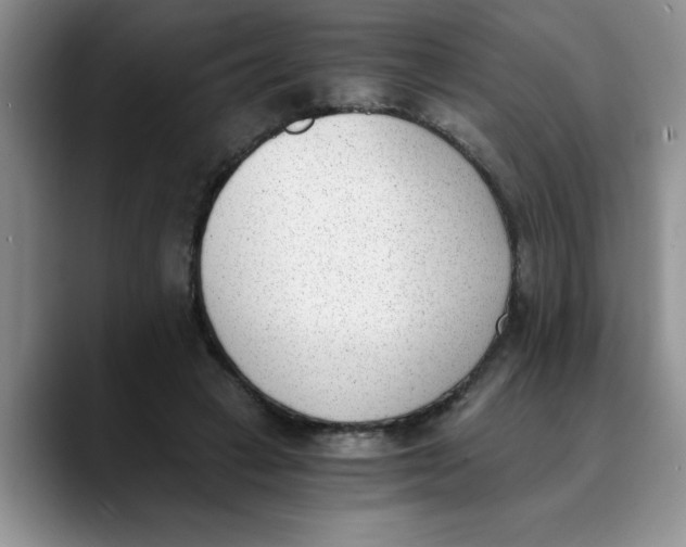 X0000089830449200707191829