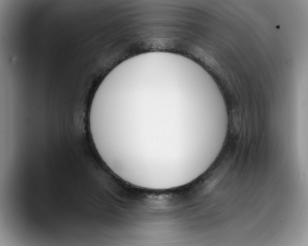 X0000089830450200707191829