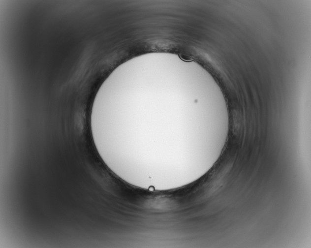 X0000089830451200707191829