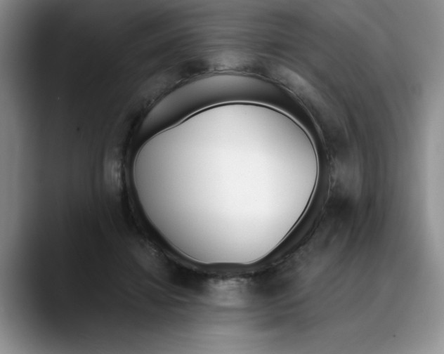 X0000089830452200707191829