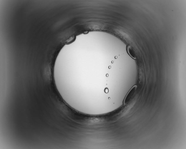 X0000089830453200707191829