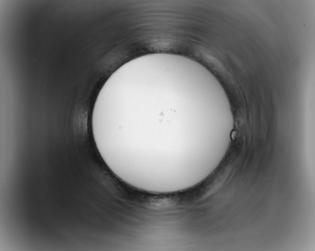 X0000089830454200707191829