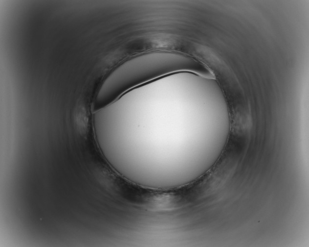 X0000089830456200707191829