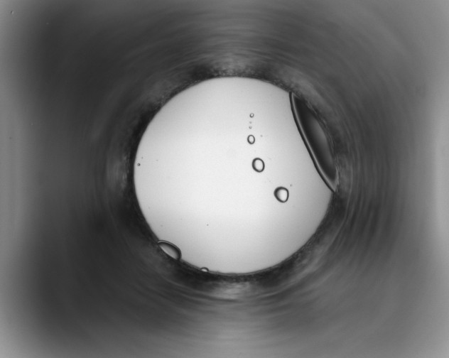 X0000089830458200707191829