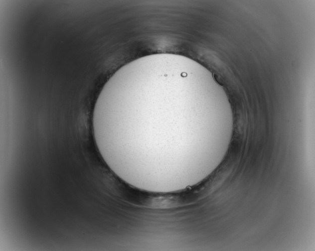 X0000089830461200707191829