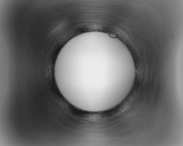 X0000089830462200707191829