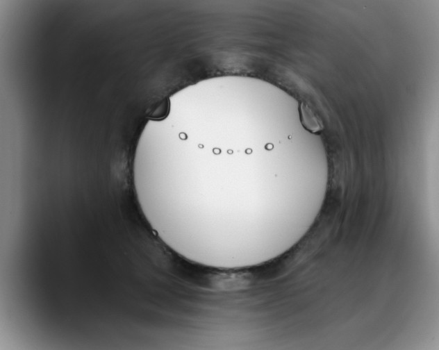 X0000089830465200707191829