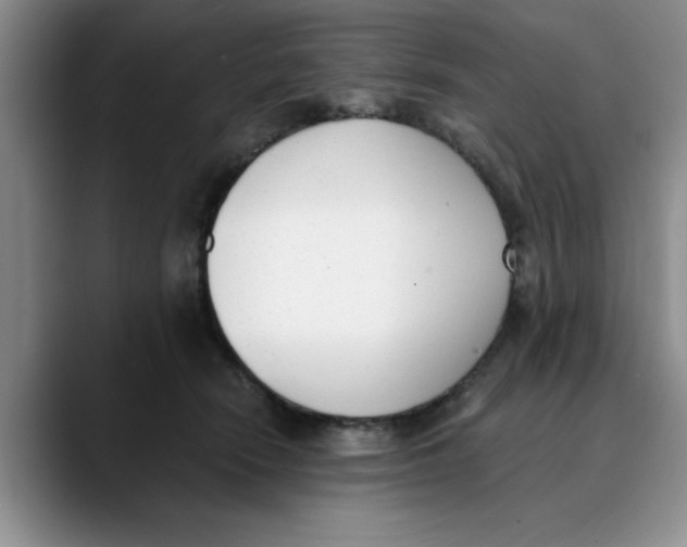 X0000089830466200707191829