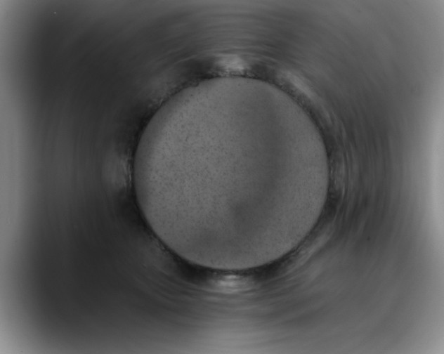 X0000089830467200707191829