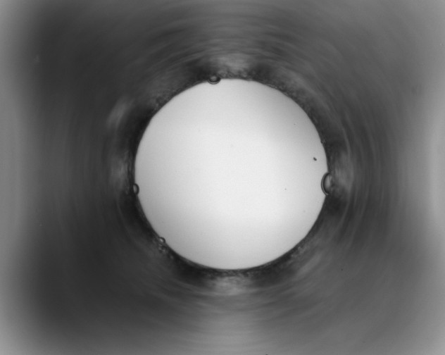 X0000089830468200707191829