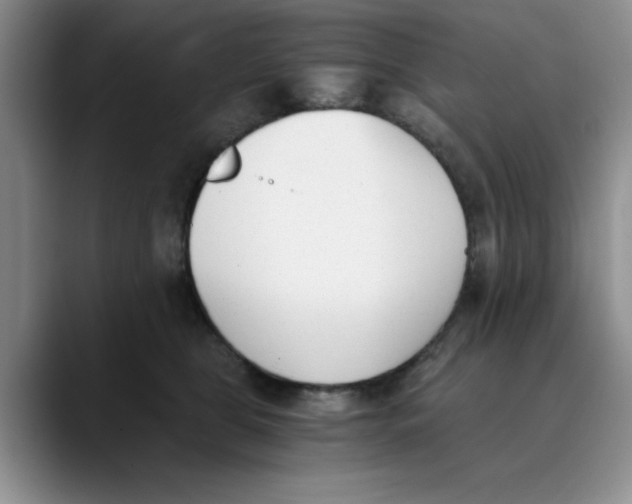 X0000089830469200707191829