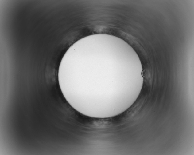 X0000089830470200707191829