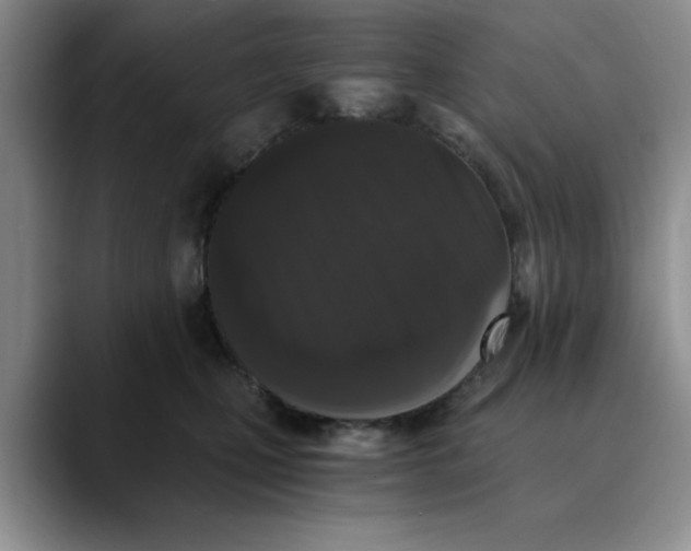 X0000089830471200707191829