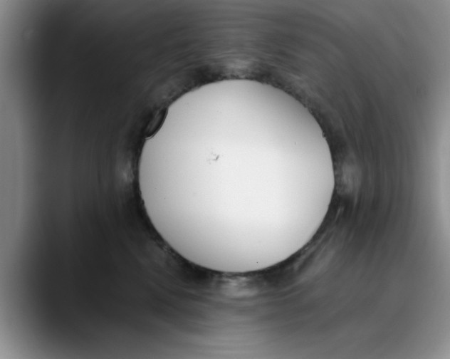 X0000089830472200707191829