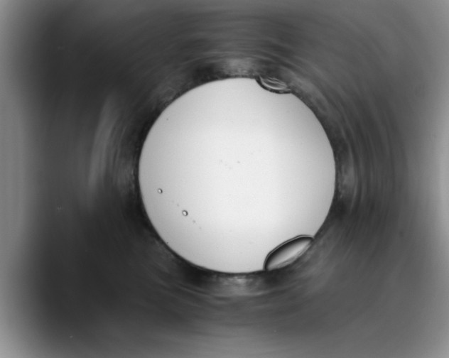 X0000089830473200707191829