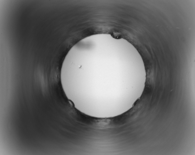 X0000089830474200707191829