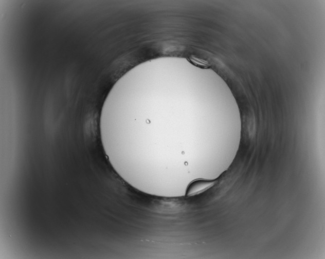 X0000089830475200707191829