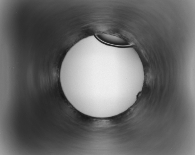 X0000089830476200707191829