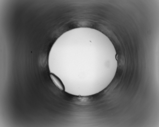 X0000089830478200707191829