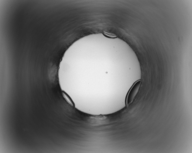 X0000089830480200707191829