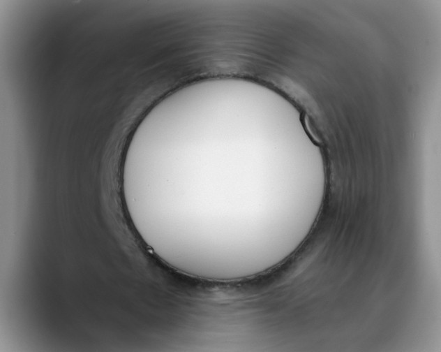 X0000089830481200707191829