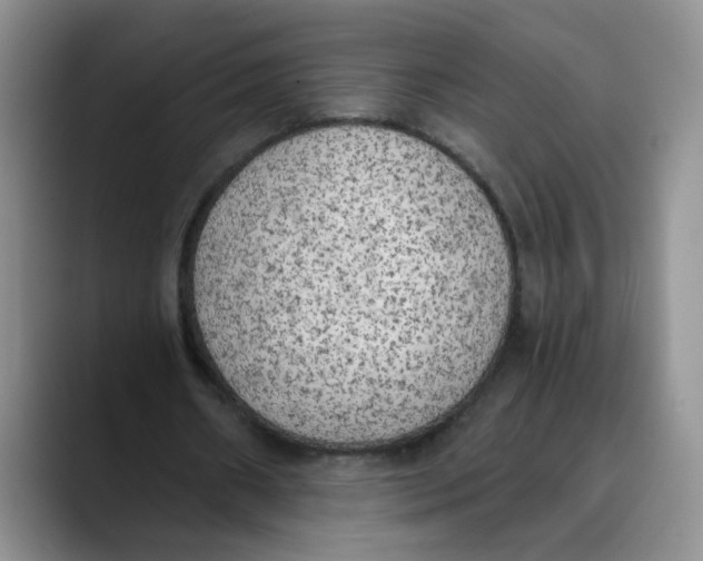 X0000089830482200707191829