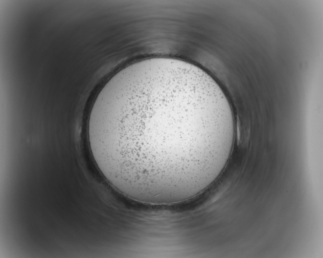 X0000089830483200707191829