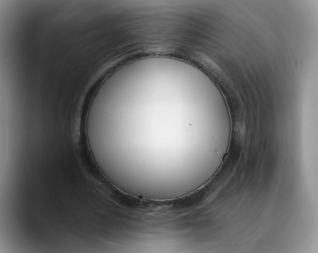 X0000089830484200707191829