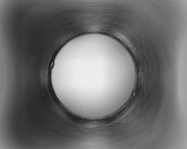 X0000089830485200707191829