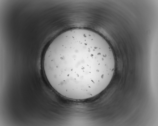 X0000089830486200707191829