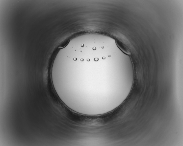 X0000089830488200707191828