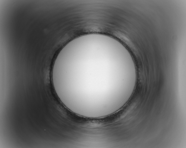 X0000089830489200707191828