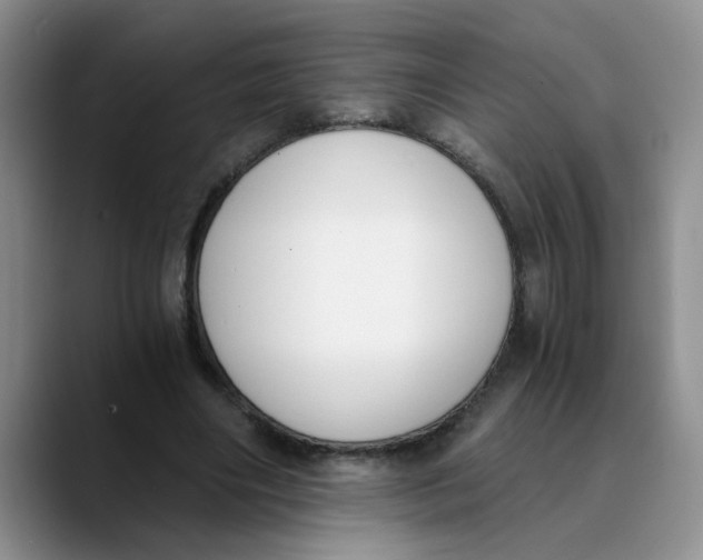 X0000089830490200707191828