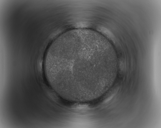 X0000089830491200707191828