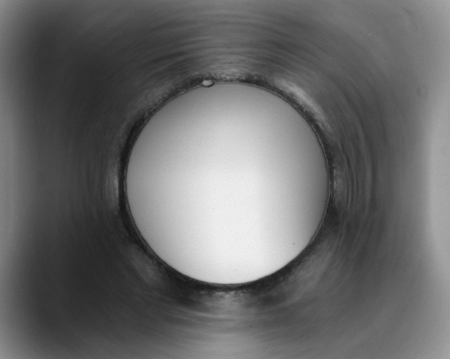 X0000089830493200707191828