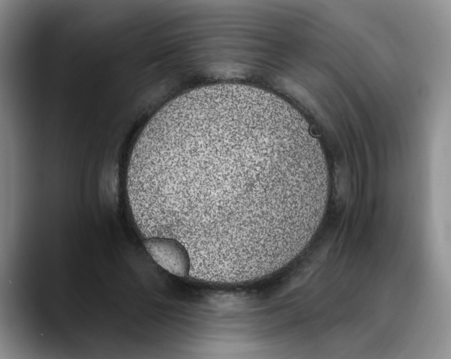 X0000089830494200707191828