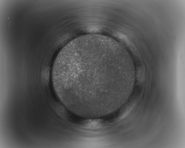 X0000089830495200707191828