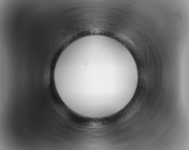 X0000089830496200707191828