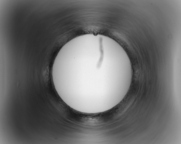 X0000089830498200707191828