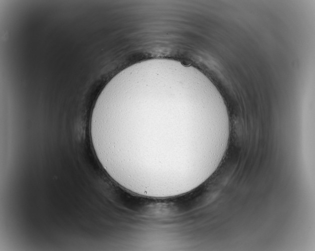 X0000089830499200707191828